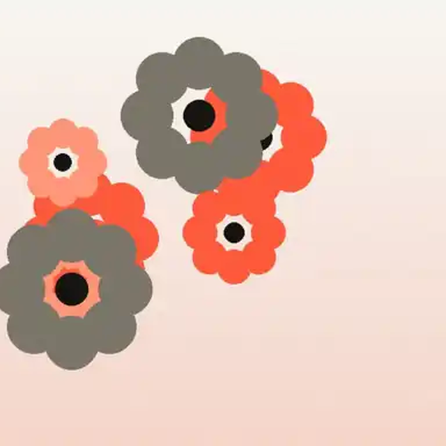Bloom Studio identity